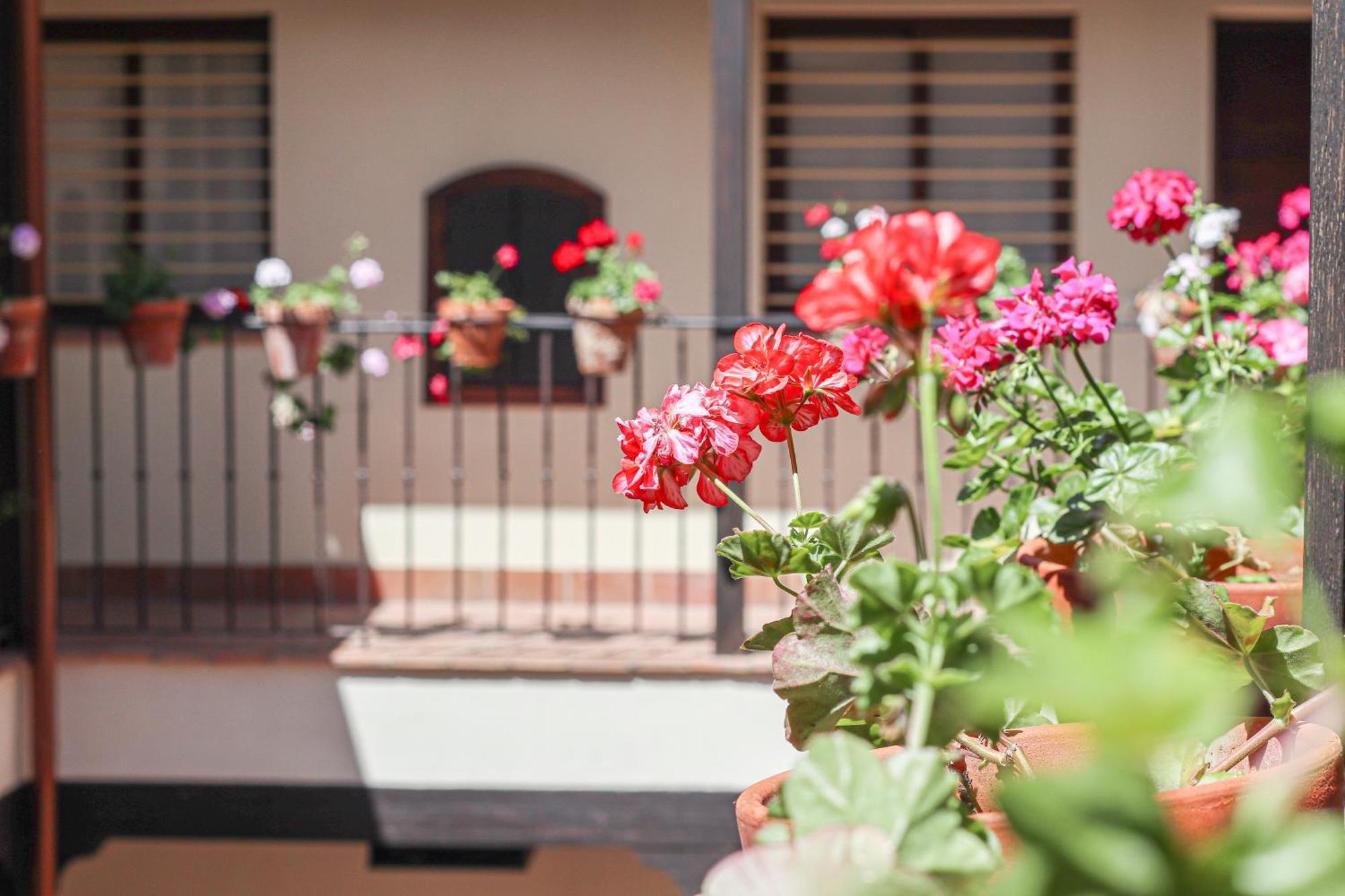 Charming Apt In The Center - 10M Walk Isla Magica Seville Luaran gambar